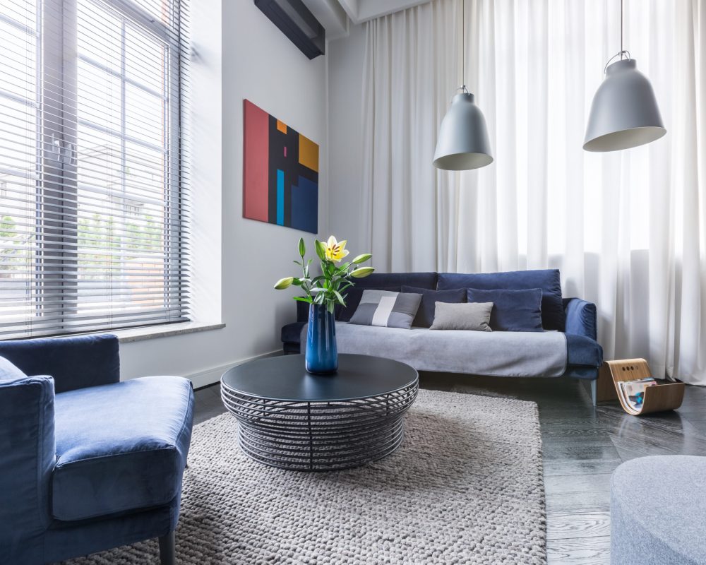 Living,Room,With,Blue,Upholstered,Furniture,,Window,Blinds,And,White